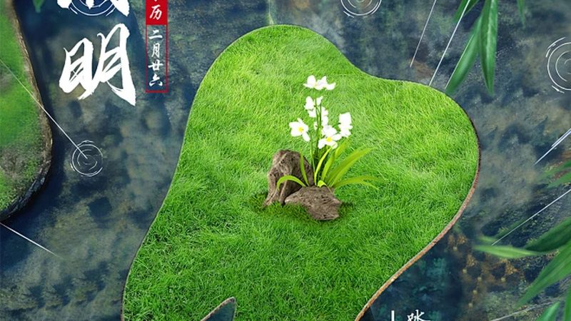 d打印牙冠：揭秘其背后的技术奥秘与选购要点